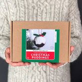 Needle Felting Kit Christmas Puddings - Make TWO decorations