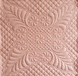 Sandie Lush Wholecloth Cushion Pattern Inspired by Amy Emms M.B.E